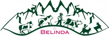 Ferienwohnung Casa Belinda in Breil/Brigels – Offizielle Website
